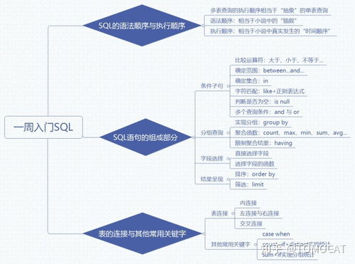 SQL防注入与模糊查询实战指南 零基础应对互联网公司笔试面试