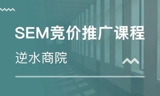 广州逆水网络科技 专业的网络技术咨询服务